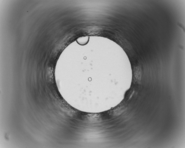 X0000103930667200810171753