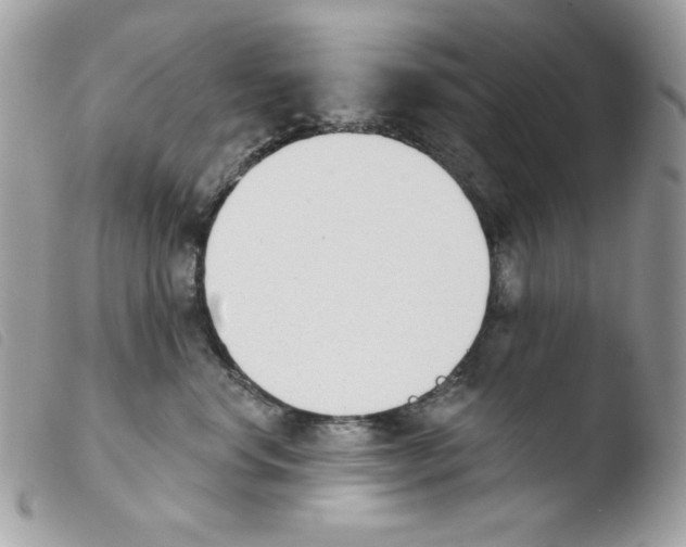 X0000103930668200810171753