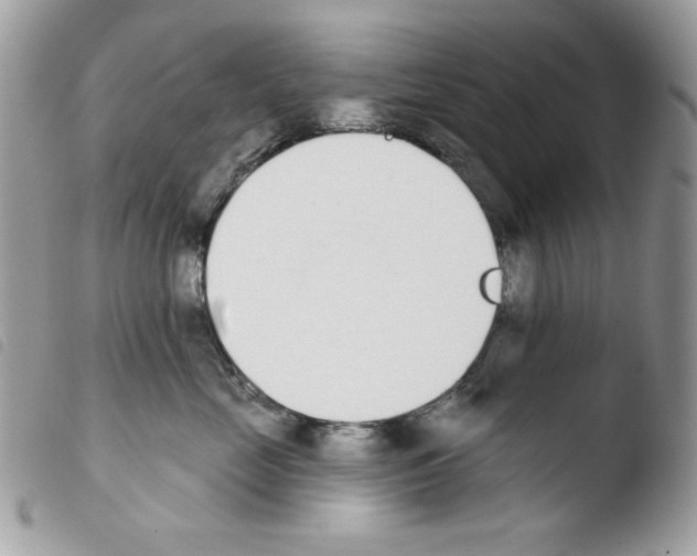 X0000103930669200810171753