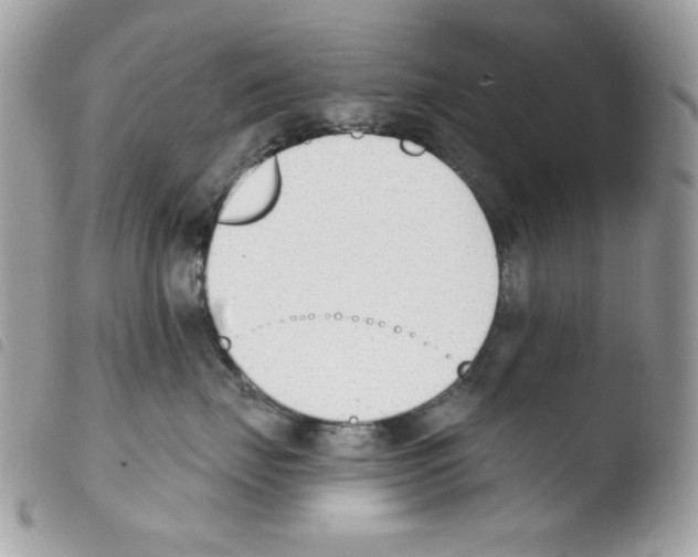 X0000103930671200810171753