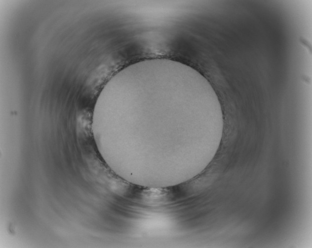 X0000103930672200810171753