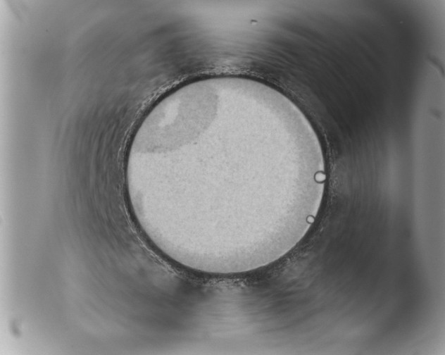 X0000103930673200810171752