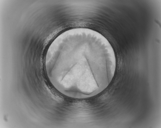 X0000103930674200810171752