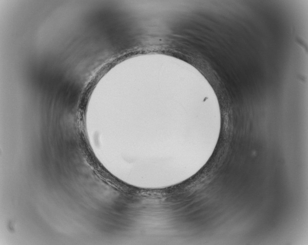 X0000103930676200810171752