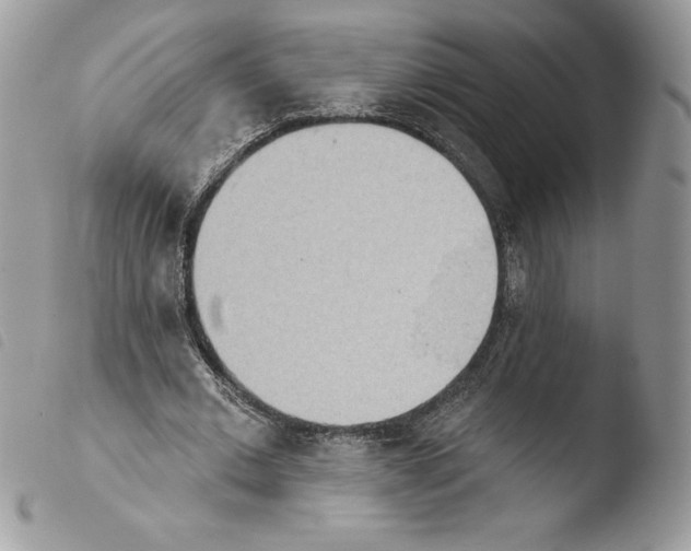 X0000103930677200810171752