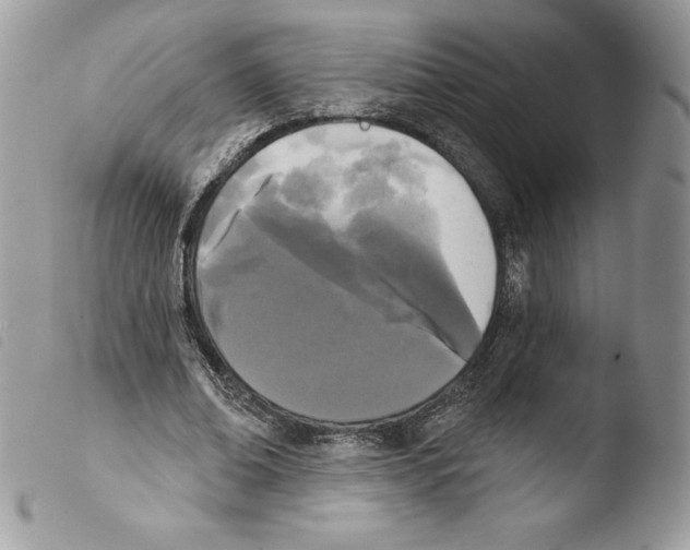 X0000103930678200810171752