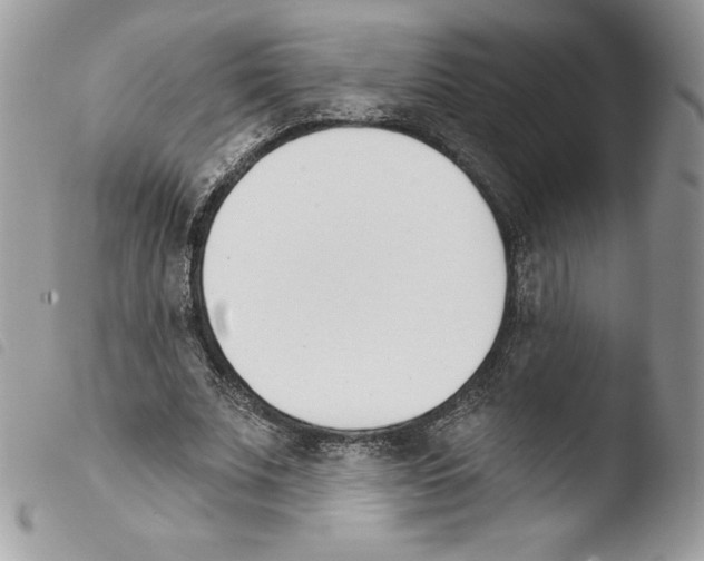 X0000103930679200810171752