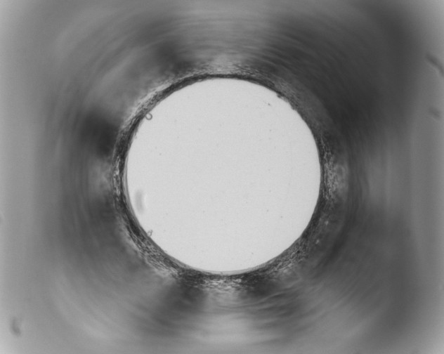 X0000103930680200810171752