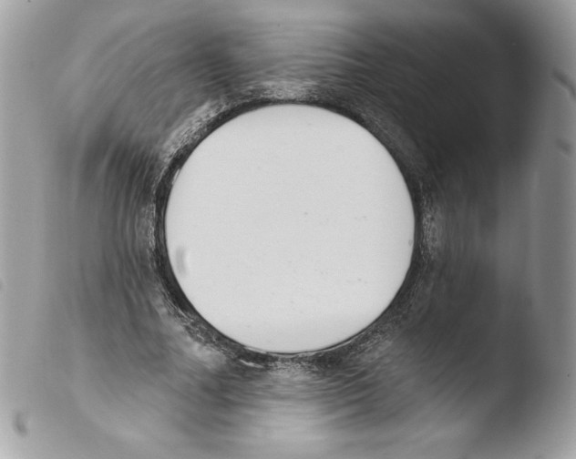 X0000103930682200810171752