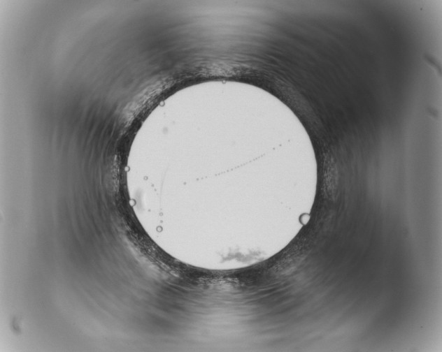 X0000103930683200810171752