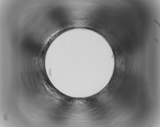 X0000103930684200810171752