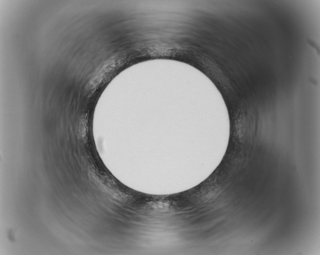 X0000103930687200810171752