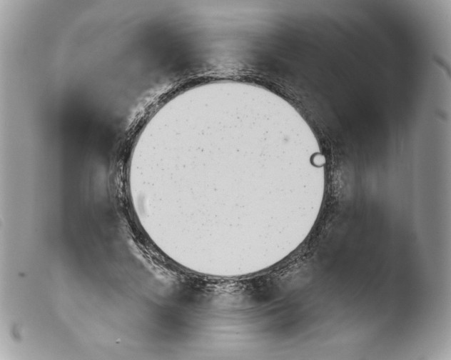 X0000103930688200810171752