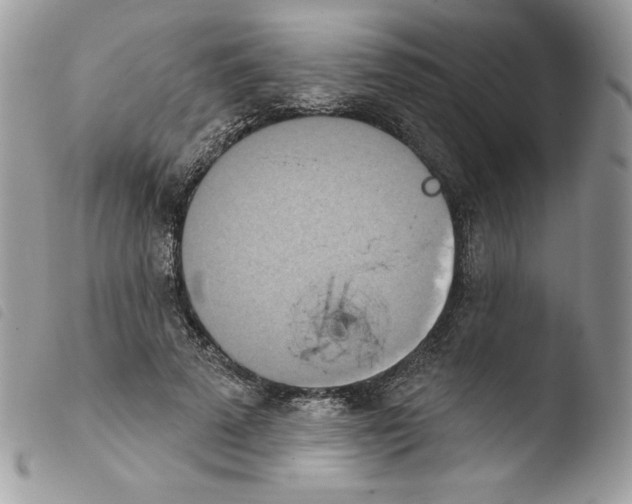 X0000103930689200810171752