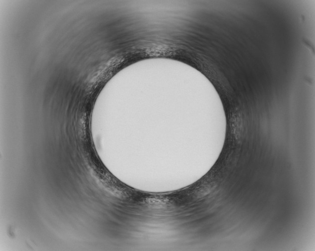 X0000103930690200810171752