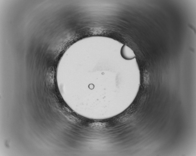 X0000103930691200810171752