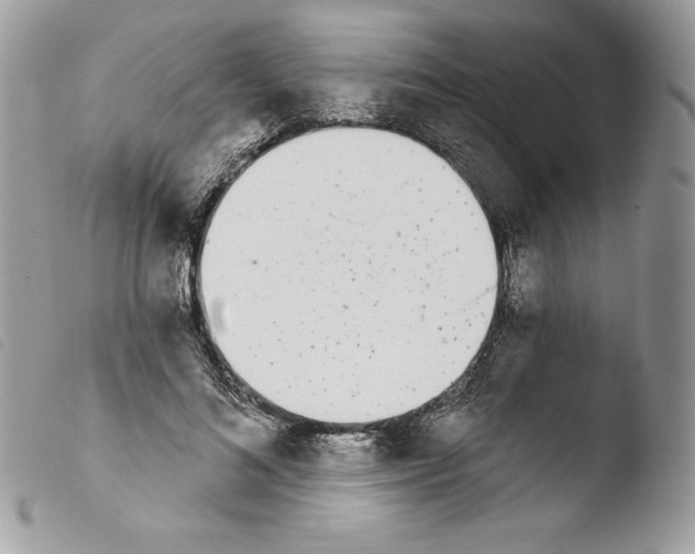 X0000103930692200810171752