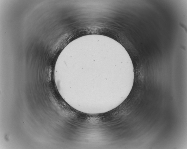 X0000103930694200810171752