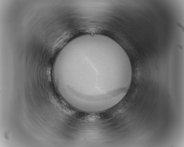 X0000103930696200810171752