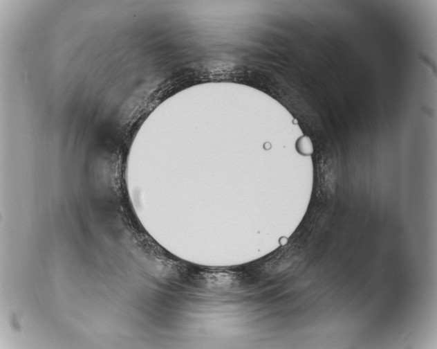 X0000103930698200810171752