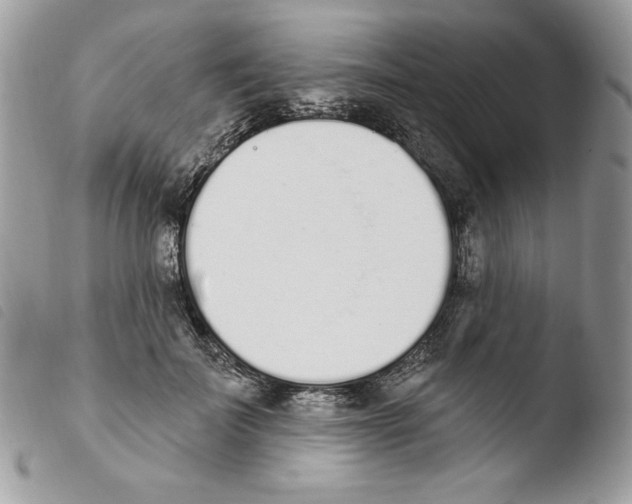 X0000103930699200810171752