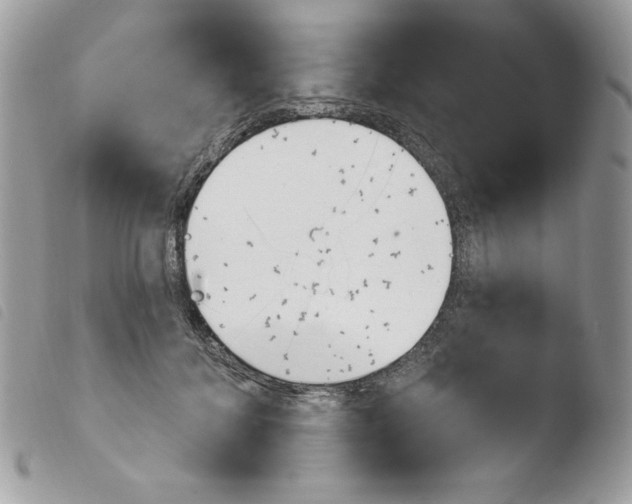 X0000103930700200810171752