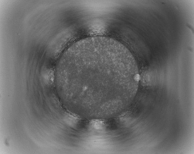 X0000103930701200810171752