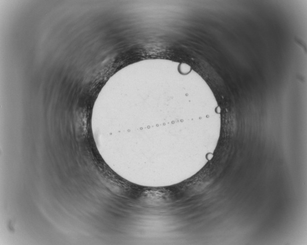 X0000103930703200810171752