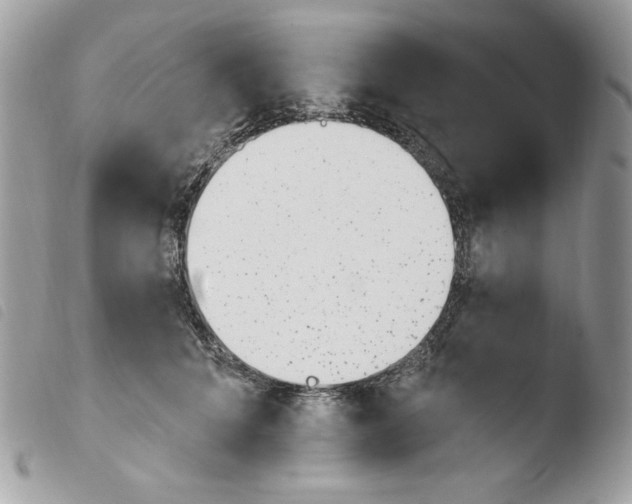 X0000103930704200810171752