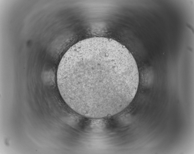 X0000103930705200810171752