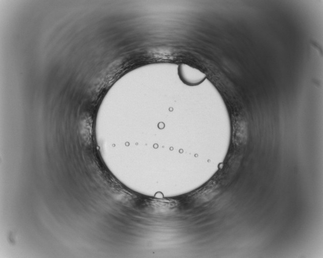 X0000103930707200810171752