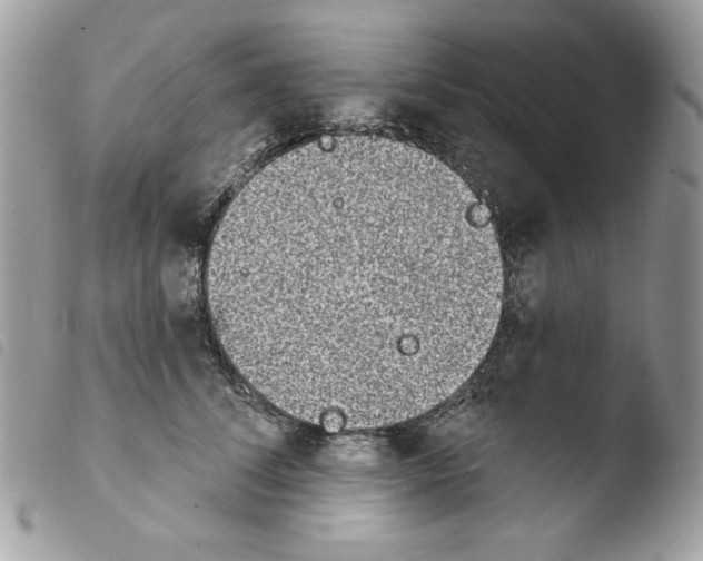 X0000103930708200810171752