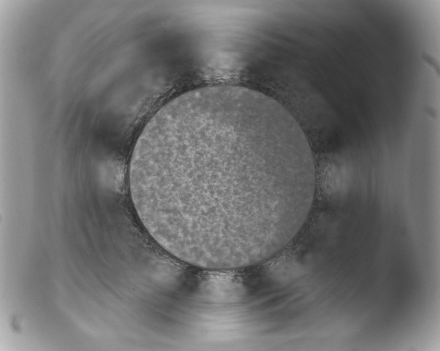 X0000103930709200810171752