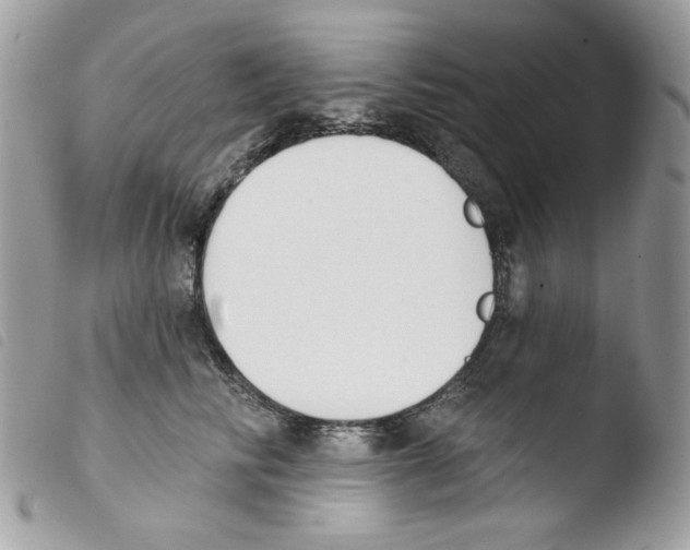 X0000103930710200810171752