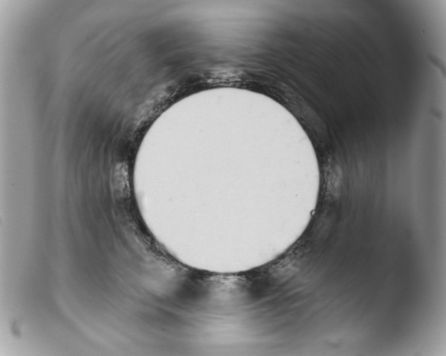 X0000103930711200810171752