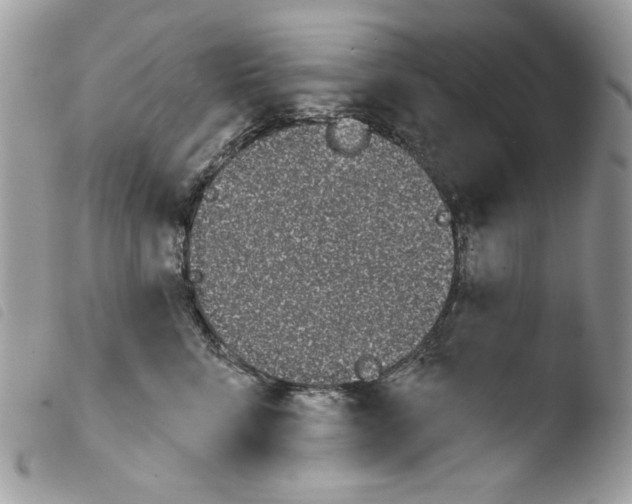 X0000103930712200810171752