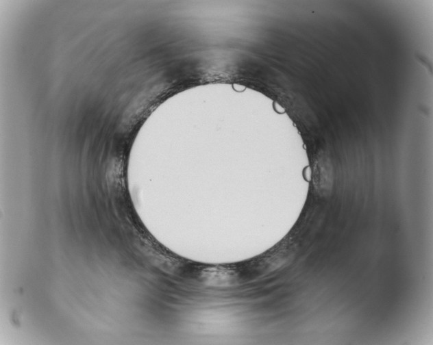 X0000103930714200810171752