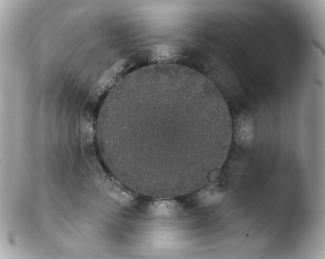 X0000103930716200810171752