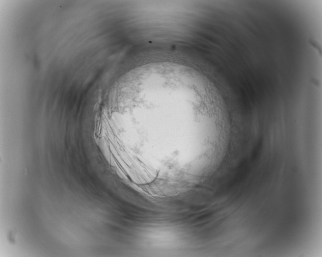 X0000103930717200810171752