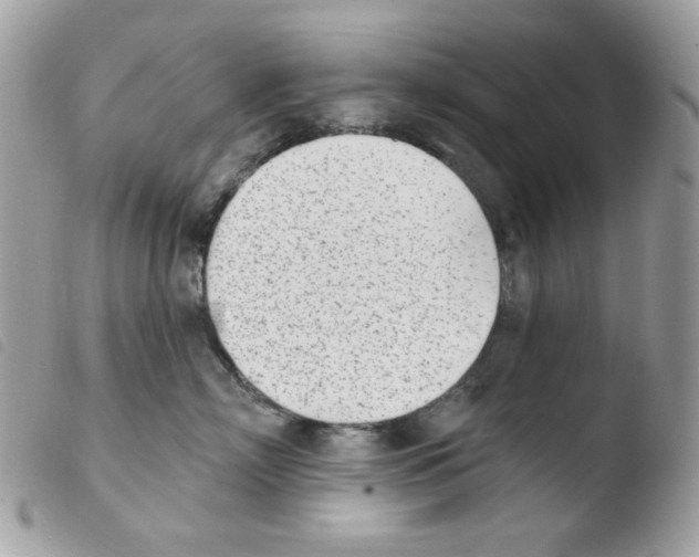 X0000103930718200810171752