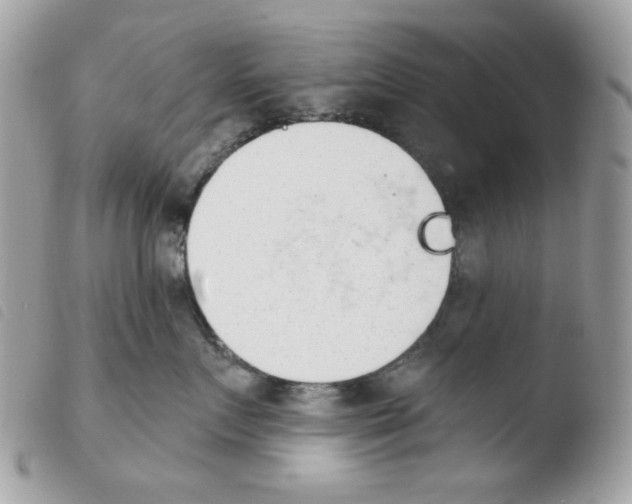 X0000103930719200810171752