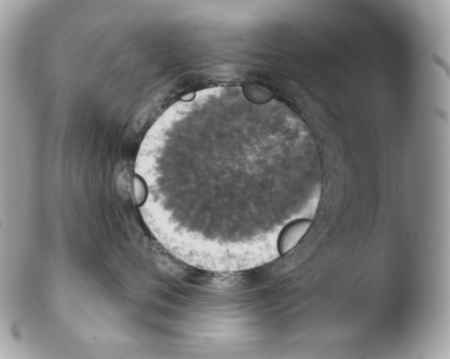 X0000103930720200810171752