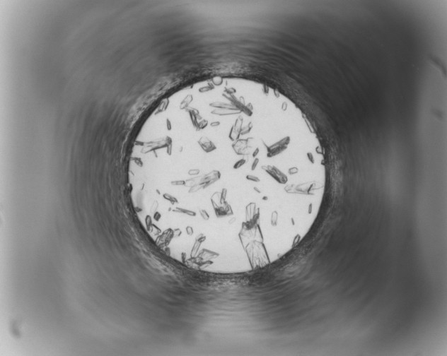 X0000103930721200810171751