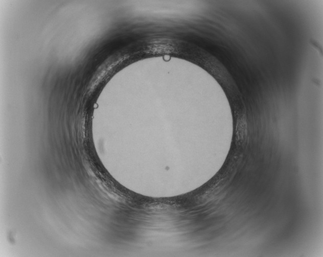 X0000103930722200810171751