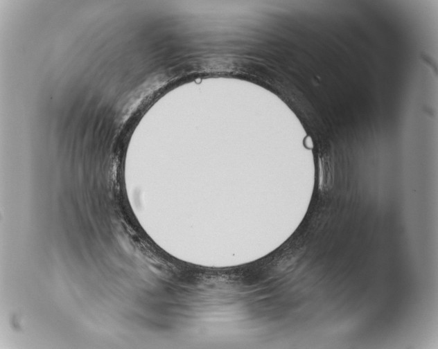 X0000103930723200810171751