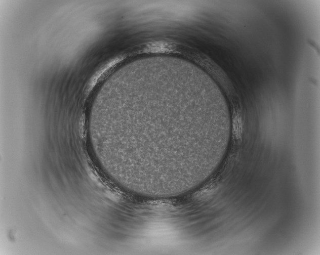 X0000103930724200810171751