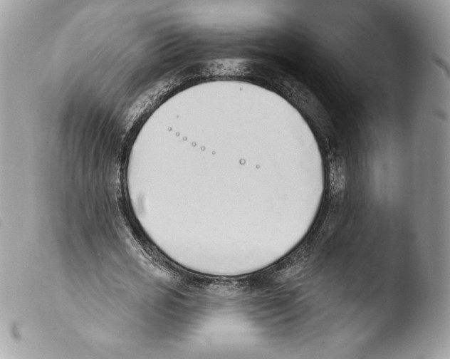 X0000103930725200810171751