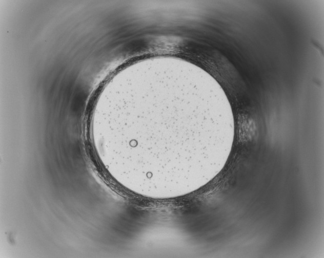 X0000103930726200810171751