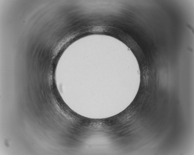 X0000103930728200810171751