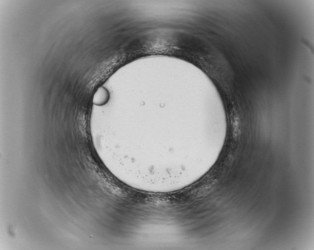 X0000103930729200810171751